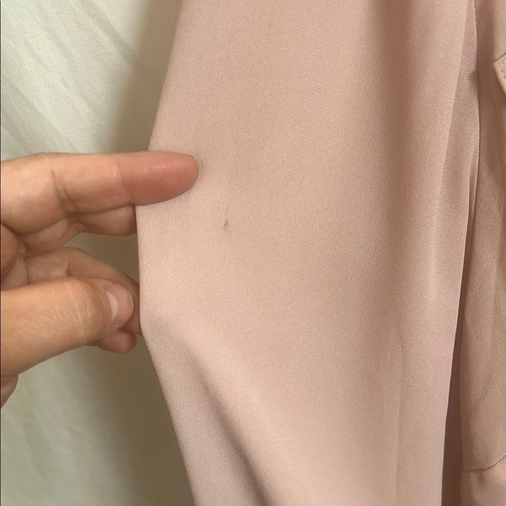 Pale Pink Sheer Women's Top by Lane Bryant - Picture 4 of 11